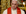 Papa, Fransa'da 216 bin çocuğun cinsel istismar mağduru olması nedeniyle üzgün