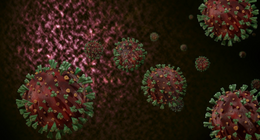 Koronavirüs için yeni bir ilaç bulunmuş olabilir: Zerdeçal koronavirüs enzimlerini baskılayabiliyor!