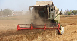 Rusya'dan tahıl krizini çözecek hamle. Ukrayna limanlarındaki tahıllar dünya pazarlarına nasıl ulaştırılacak? Rus ordusundan son dakika hamlesi geldi