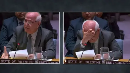 BM'de Gazze katliamını anlatırken gözyaşlarına boğuldu: Benim de torunlarım var