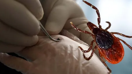 Kene kabusu devam ediyor! Bir kişi daha hayatını kaybetti