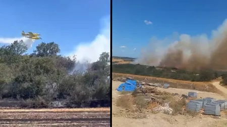 Silivri'de orman yangını! Havadan ve karadan müdahale sürüyor