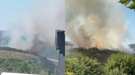 İstanbul'da orman yangını! Çok sayıda ekip sevk edildi