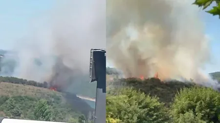 İstanbul'da orman yangını! Çok sayıda ekip sevk edildi