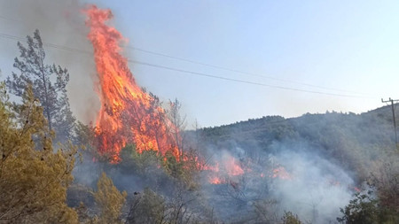 Hatay’da yangın! Müdahale devam ediyor
