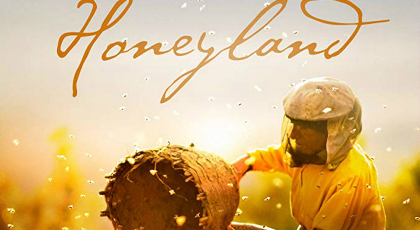 TRT destekli Honeyland 2 dalda Oscar adayı