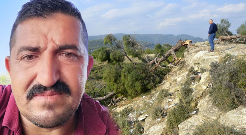Mersin Mezitli'de bir gecede 1511 ağacı kesen kişi serbest bırakıldı
