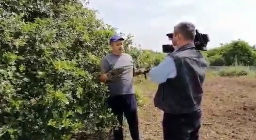 İmamoğlu'na limon kumpasının arkasındaki isimler..