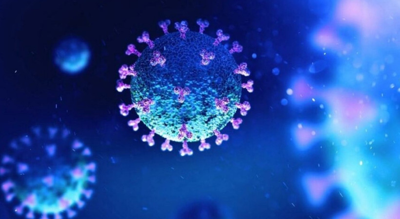 Coronavirus'ü alt eden virüs keşfedildi