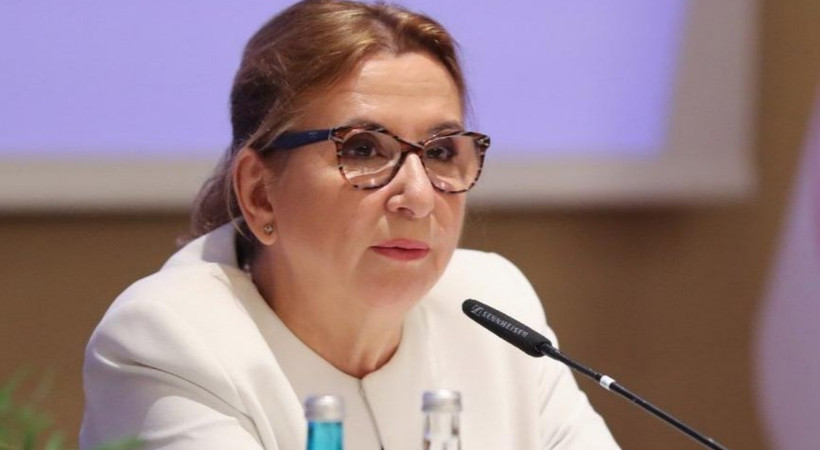 Bakanlığa kendi şirketinden dezenfektan aldırmıştı... Ruhsar Pekcan görevinden alındı!