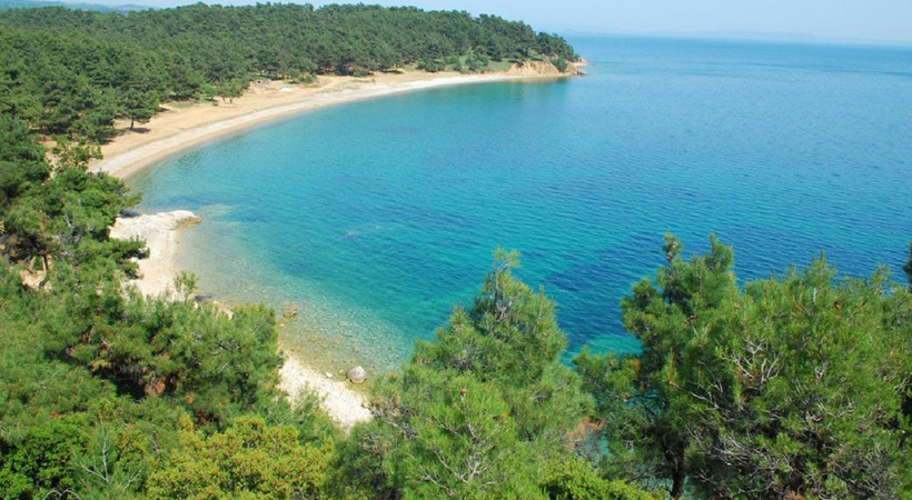 Trakyalı müzisyenden Saros'taki doğa katliamına şarkılı tepki!
