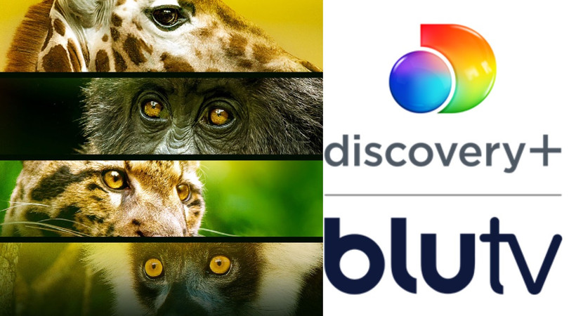 discovery+ orijinal yapımı Endangered, BluTV’de!