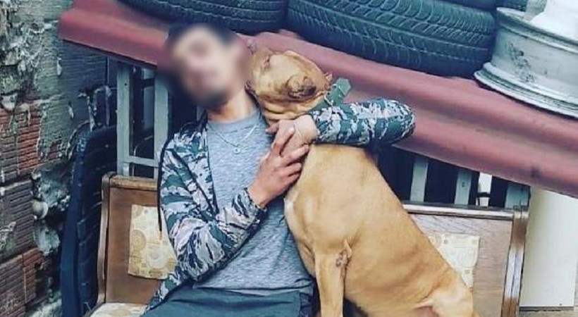 Pendik'te "denizde saldıran pitbull öldürdü" iddiası