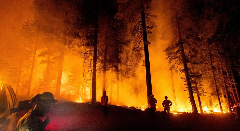 Muğla'da orman yangını! Havadan ve karadan müdahale ediliyor