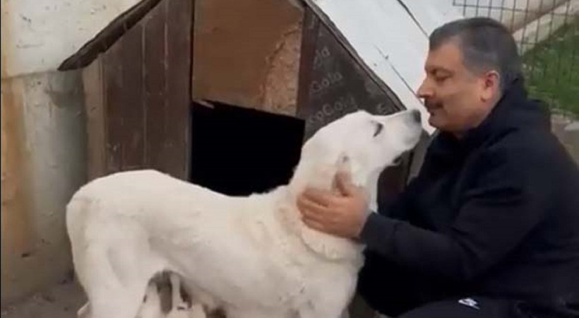 Bakan Koca'nın köpeğinin videosu 7,1 milyon izlendi