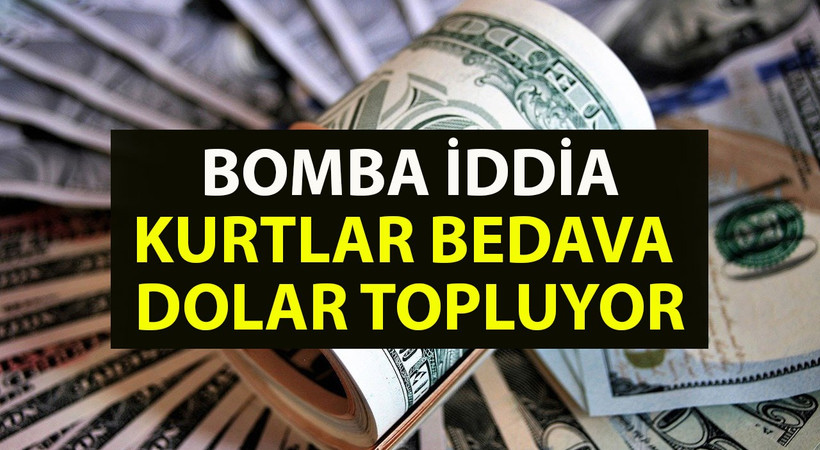Kurtlar bedavadan dolar mı topluyor? Dolar ve euro yerlerde sürünüyor, ekonomist Selçuk Geçer'den bomba dolar açıklaması geldi. Ne olacak bu dolara sorusunu cevapladı: Bekleyin görün