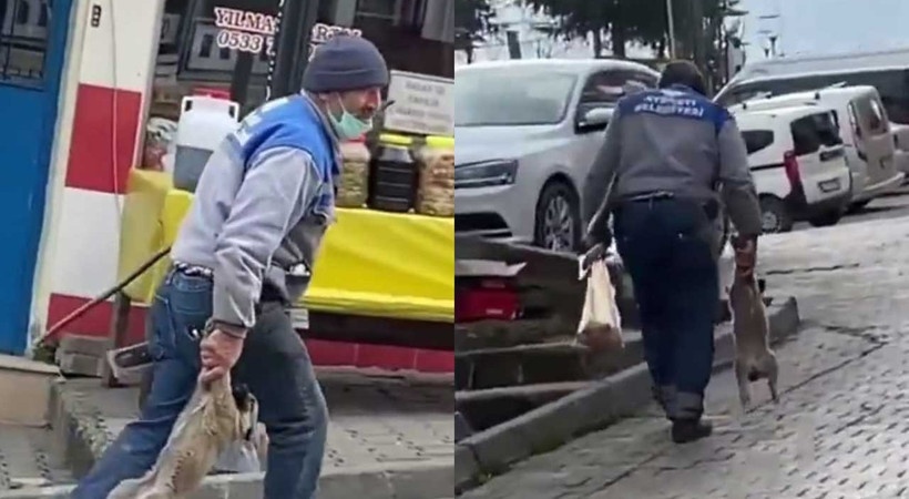 Yavru köpeği patilerinden tutup, taşıyan işçiye uyarı