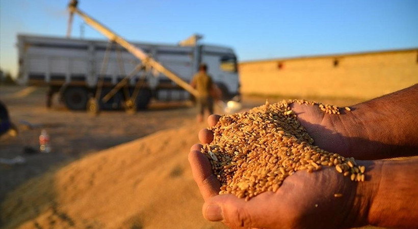 Çiftçilerin merakla beklediği buğday fiyatı açıklandı. TMO'nun buğday ve arpa alım fiyatını Cumhurbaşkanı Erdoğan açıkladı