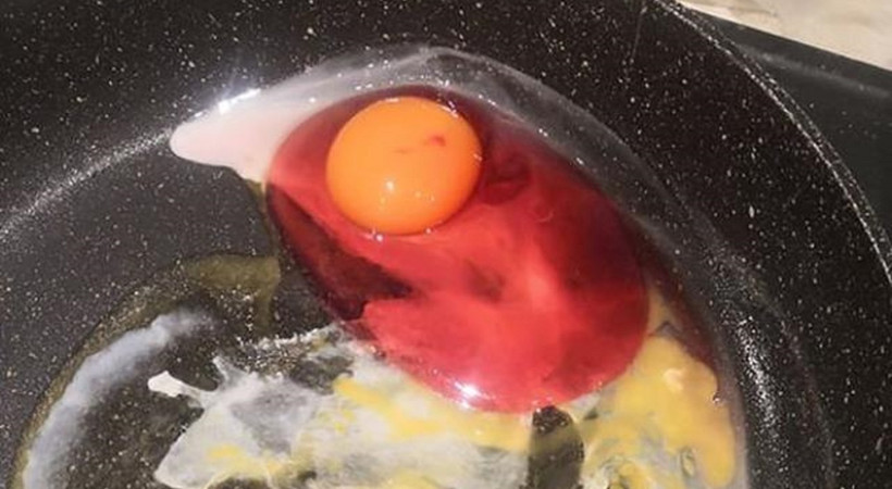Evde kırılan yumurta, kırmızı aktı! Uzmanlar, "Görürseniz sakın tüketmeyin" diye uyardı