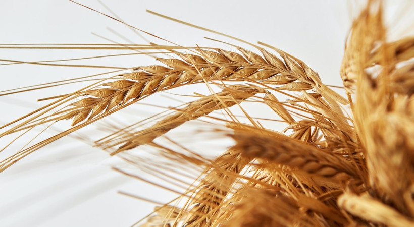 Açlık kriziyle karşı karşıyayız uyarısı. Buğday, gıda fiyatları yükselirken uyarı üstüne uyarı geldi.  AOM Avrasya Başkanı Dr. Eren Günhan Ulusoy'dan dikkat çekici açıklama