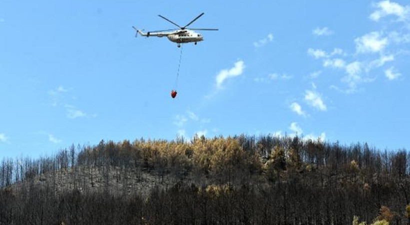 Muğla Dalaman’da orman vurgunu! Dalaman Orman İşletme Müdürü Önder Mutlu'nun da aralarında bulunduğu 25 kişi gözaltına alınmıştı