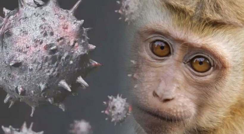 Maymun çiçeği virüsü spermde görüldü. Cinsel yolla bulaşma ihtimali araştırılıyor. DSÖ'den açıklama geldi