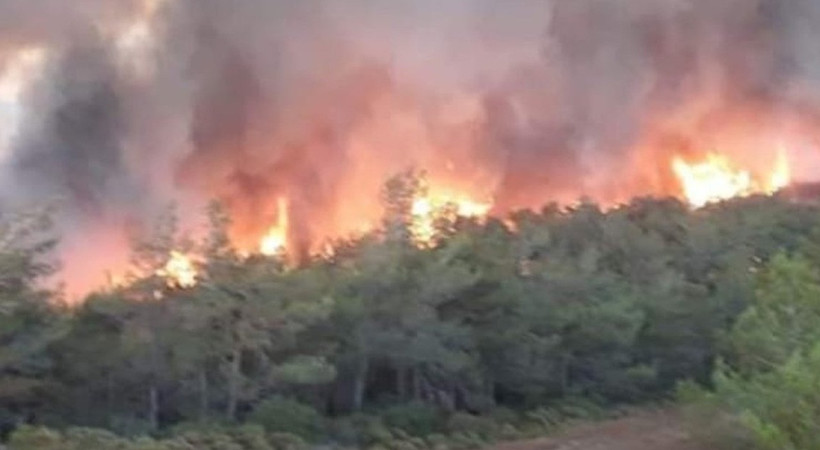 Marmaris'teki orman yangınında 3'üncü gün: Alevler 5 noktada ilerliyor