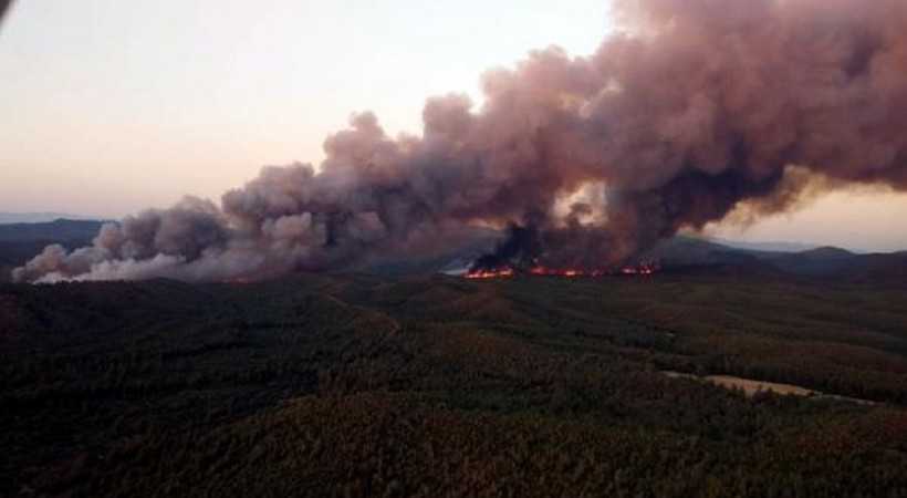 Marmaris yangını 21 saattir sürüyor! Bölgenin yüzde 20'si kül oldu. Orman Bakanı Vahit Kirişçi'den açıklama