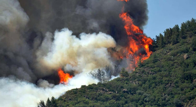 Marmaris'teki orman yangınında flaş gözaltı