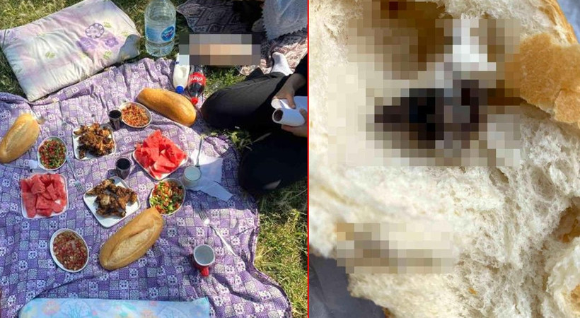 Antalya'da pikniğe giden vatandaş hayatının şokunu yaşadı. Ekmeğin içinden ölü fare çıktı. Mide bulandıran görüntüler
