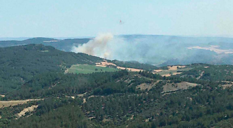 Çanakkale Valiliği'nen ormanlarla ilgili flaş karar