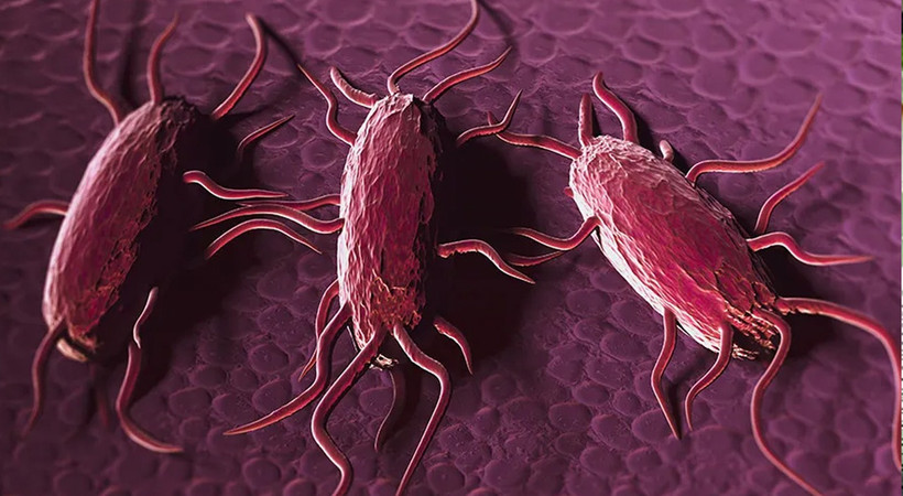 ABD'de yeni salgın paniği. Listeria bakterisi salgınından ilk ölüm gerçekleşti. İşte listeria bakterisinde vaka sayısı