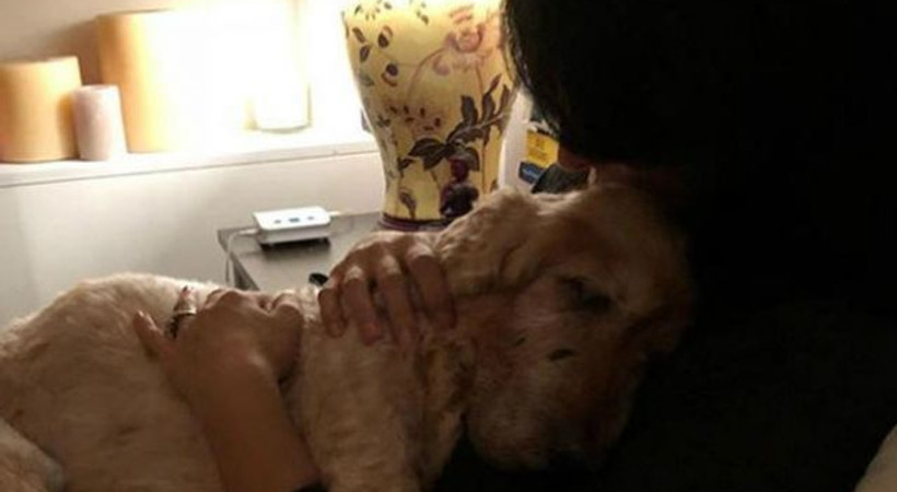 Ünlü oyuncu yıkıldı: Kucağımda hayata gözlerini yumdu