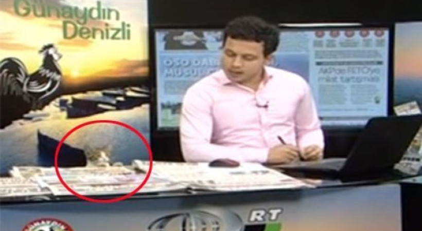 Canlı yayını kedi bastı!