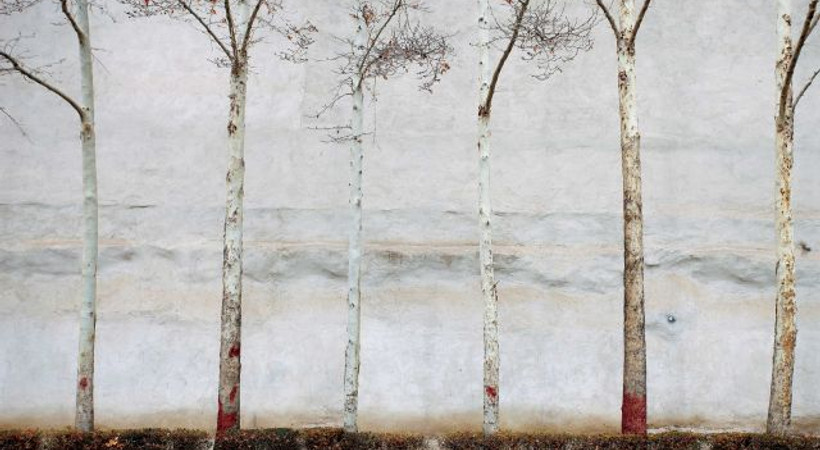 Abbas Kiarostami’nin eserleri sanatseverlerle buluşuyor