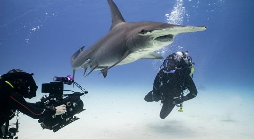 'Mavi Gezegen’e Dönüş' BBC Earth’te!