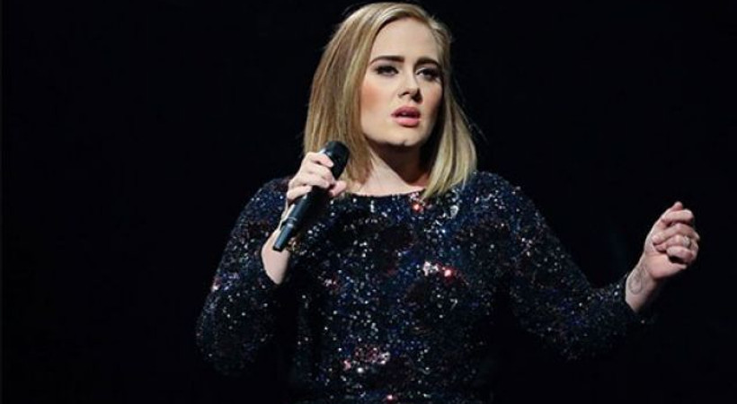 Adele, Angelina ve Brad ayrılığı hakkında konuştu
