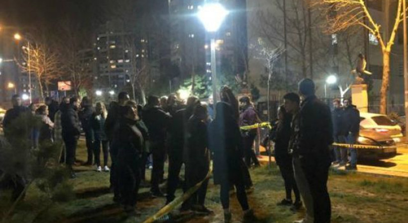 Ankara'da vahşet: Sokak köpekleri zehirlenerek öldürüldü!