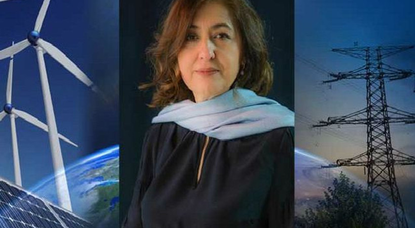 Gelecek Yenilenebilir Enerjide Platformu Başkanı gazeteci Serpil Yılmaz oldu!