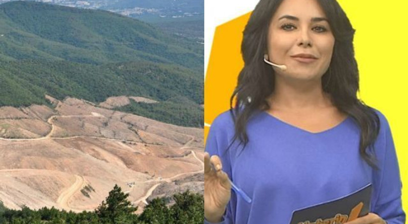 TRT Çocuk, 'Kaz Dağları' diyen çocuğu yayından aldı!