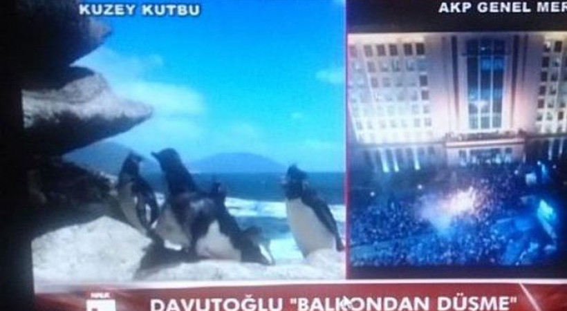Davutoğlu balkona çıktı, Halk TV 'penguen' göndermesi yaptı!