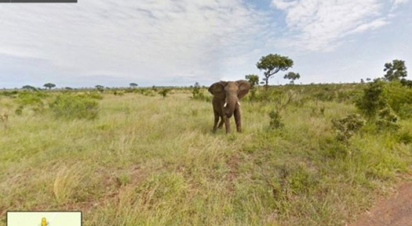 Google, şimdi de ücretsiz Güney Afrika'ya götürüyor!