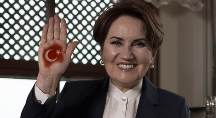 Meral Akşener'in kuracağı partinin logosu belli oldu!