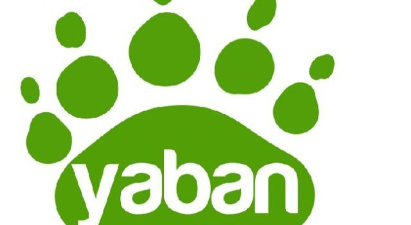 'Yaban TV, hitap ettiği evreni değiştirdi'