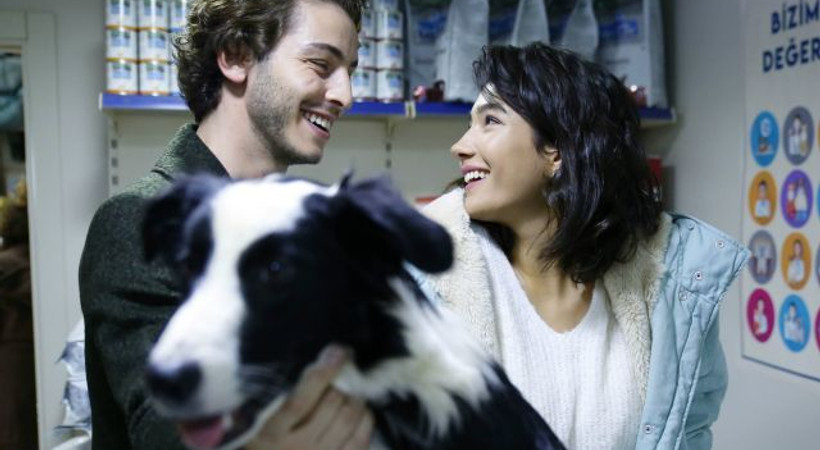 Boran Kuzum ve Aybüke Pusat, sokak hayvanlarına dikkat çekecek!