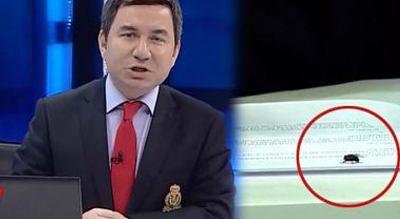 Sunucuya musallat olan sinek ehlileşti