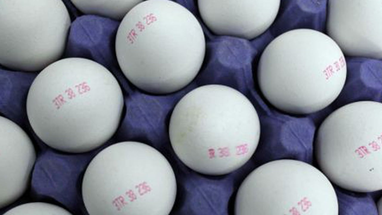 Yumurtadaki tehlike ortaya çıktı, milyonlarca insan habersiz! Yumurta üzerinde neden üretim-tüketim tarihi yok? Bayat yumurta nasıl anlaşılır? Taze yumurta nasıl olur?