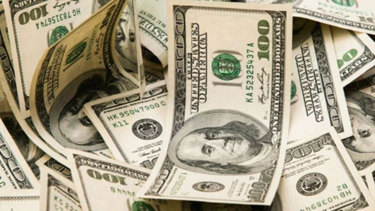 Ünlü ekonomistten korkutan dolar tahmini: Bir dolar 15 Türk Lirası olacak