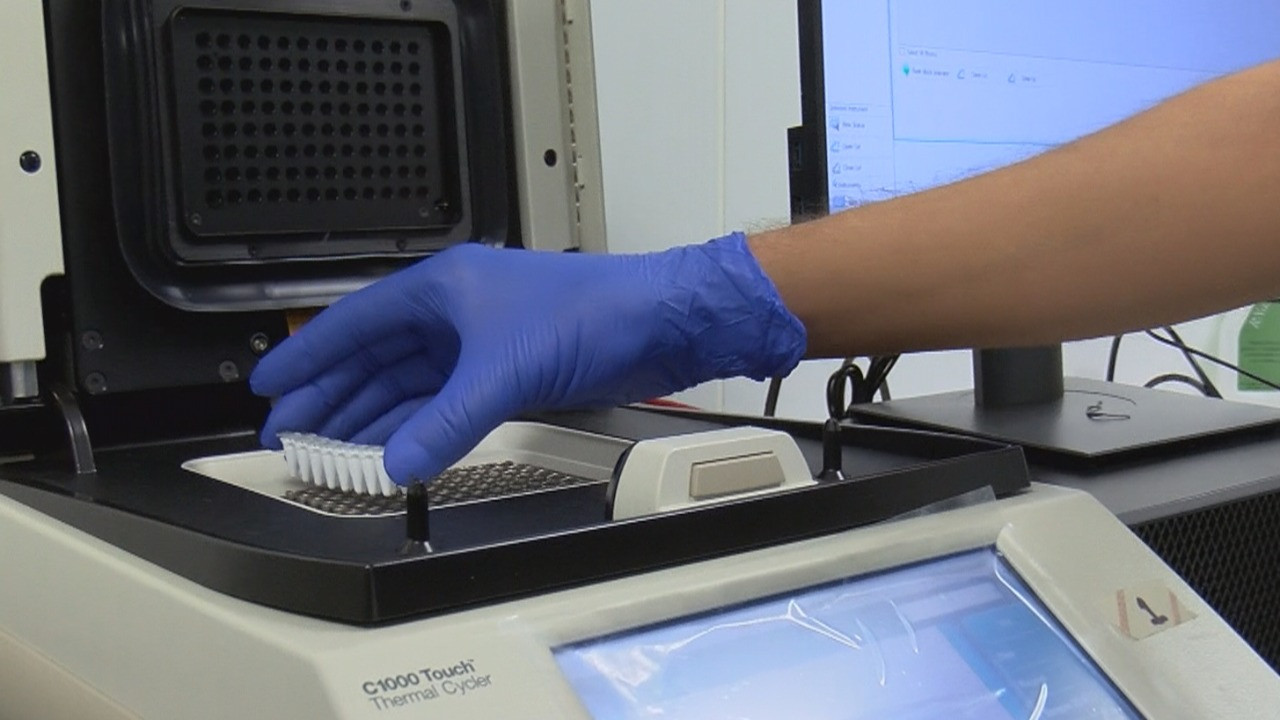 Milli ve yerli PCR testinde sona gelindi. Türkiye Sağlık Enstitüleri Başkanlığı (TÜSEB) bünyesinde geliştirilen yerli PCR testi DiaKit, yüzde 98 doğruluk oranı veriyor ve sonuç alma süresi yarıya düşüyor