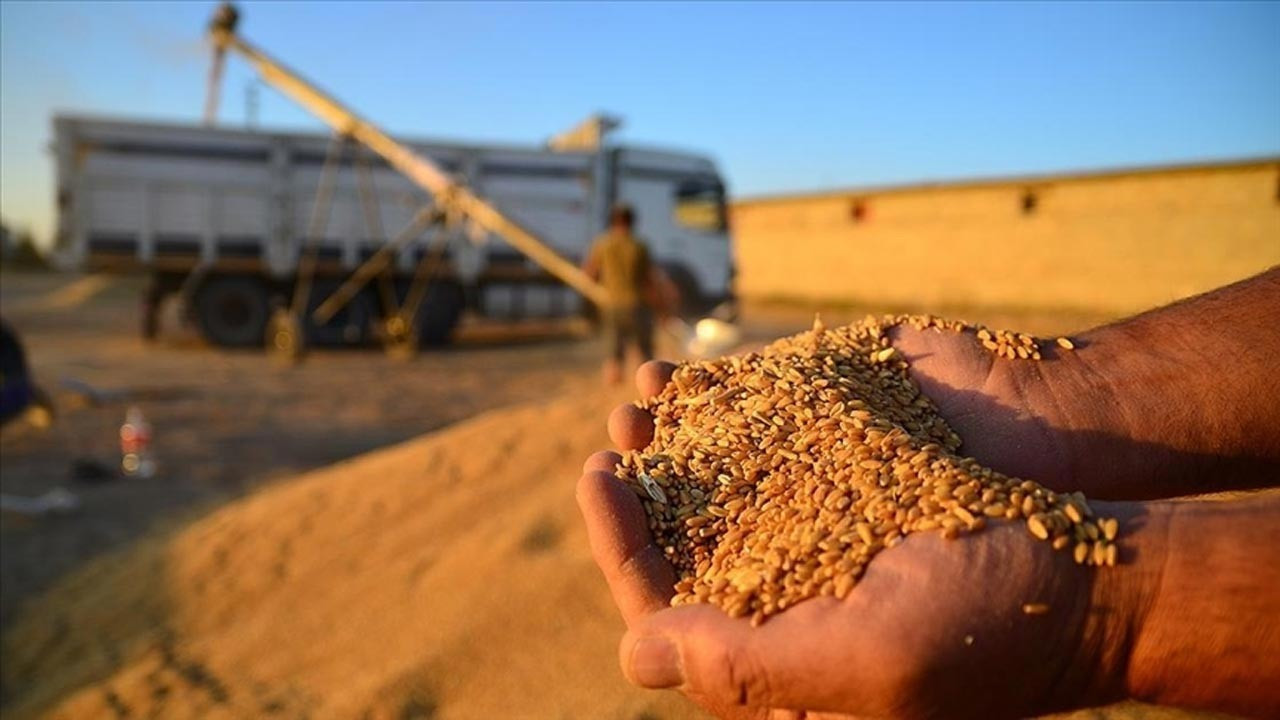 Buğday krizinde fiyat açıklandı. Çiftçiler TMO'nun fiyatını beklerken, Ziraat Mühendisleri Odası Adana Şube Başkanı Feyzullah Korkut buğday fiyatını açıkladı. 2022 Mayıs güncel buğday fiyatları ne kadar?